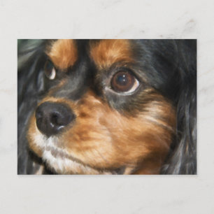 En lojal hund Cavalier King Charles Spaniel vykort