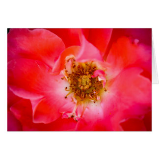 En Look Within Hälsningskort