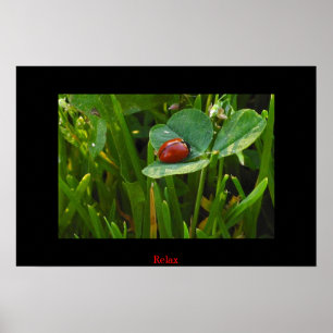 En Lucky St. Patricks Day Poster