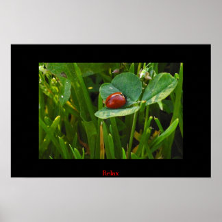 En Lucky St. Patricks Day Poster