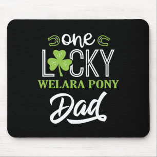 En Lucky Welara Pony Häst Pappa Irländsk Häst Ridn Musmatta