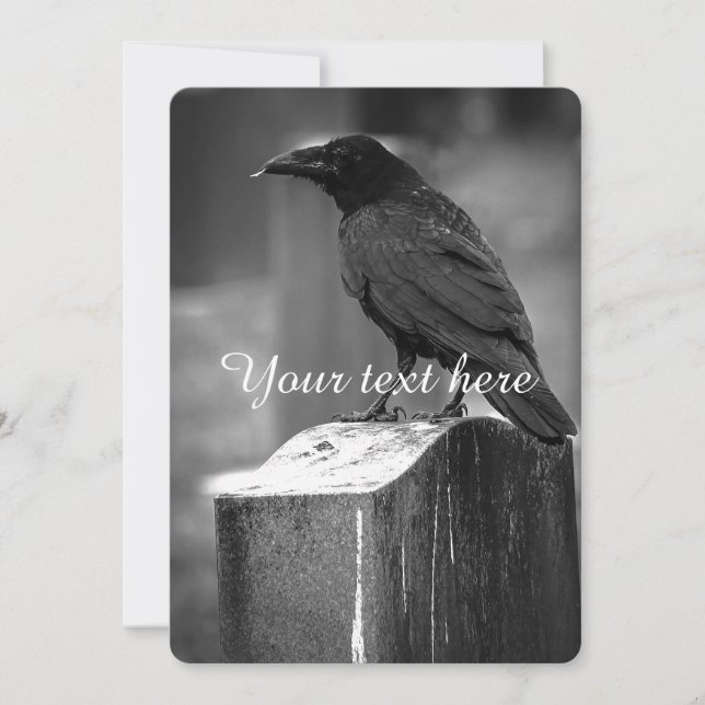 En ludd hittades (Framsida)