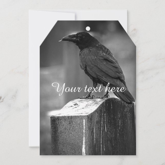 En ludd hittades (Framsida)