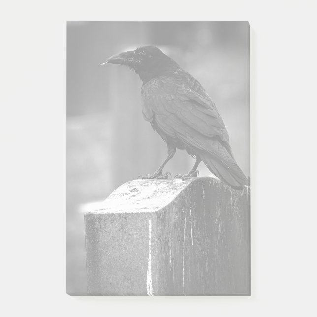 En ludd hittades post-it block (Framsida)