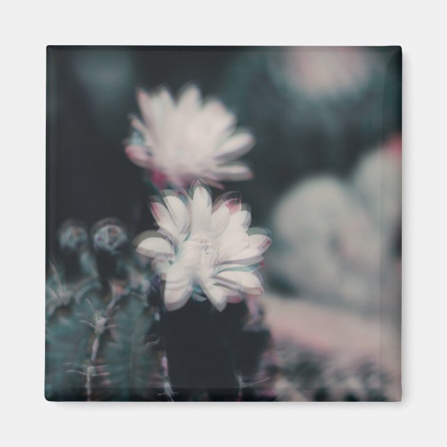 En Magnet (Framsidan)