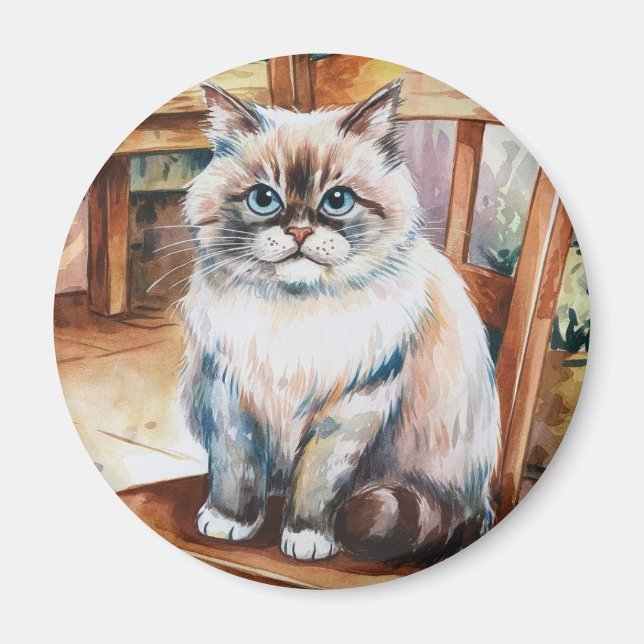 En magnet (Framsidan)