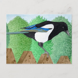 En Magpie på ett stängsel Vykort