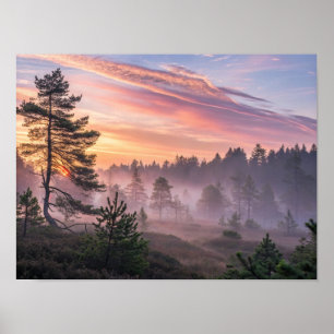 En Majestätisk Boreal Skog i Gryningen med Strålan Poster