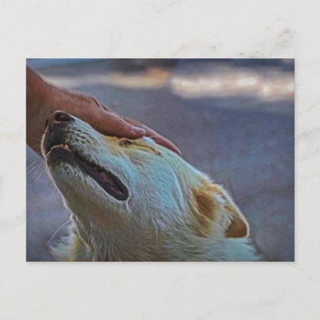 En man och hans hund, vykort (Framsida)