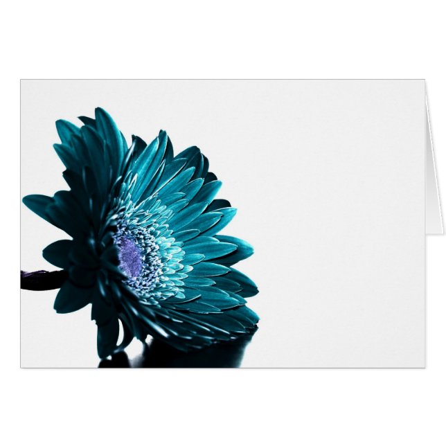 En månbelyst natt hälsningskort (Framsidan Horizontal)