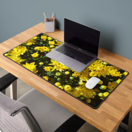 En mängd Gult Morsa