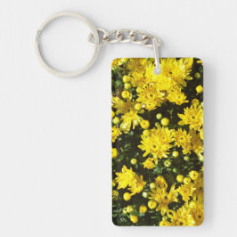 En mängd Gult Morsa