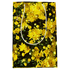 En mängd Gult Morsa