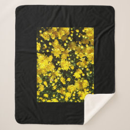 En mängd Gult Morsa