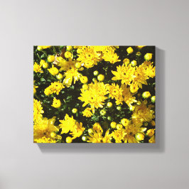 En mängd Gult Morsa Canvastryck