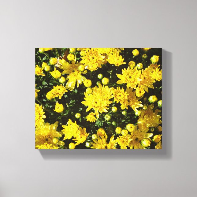 En mängd Gult Morsa Canvastryck (Framsida)