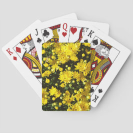 En mängd Gult Morsa Casinokort