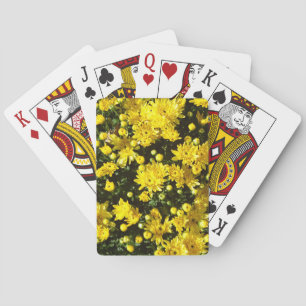 En mängd Gult Morsa Casinokort
