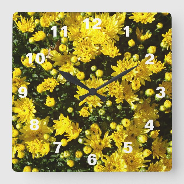 En mängd Gult Morsa Fyrkantig Klocka (Framsida)