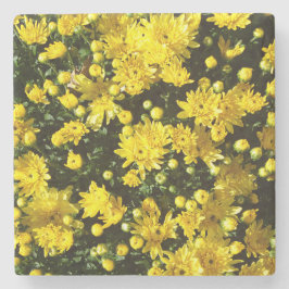 En mängd Gult Morsa Stenunderlägg