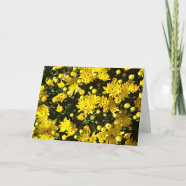 En mängd Gult Morsa Tack Kort