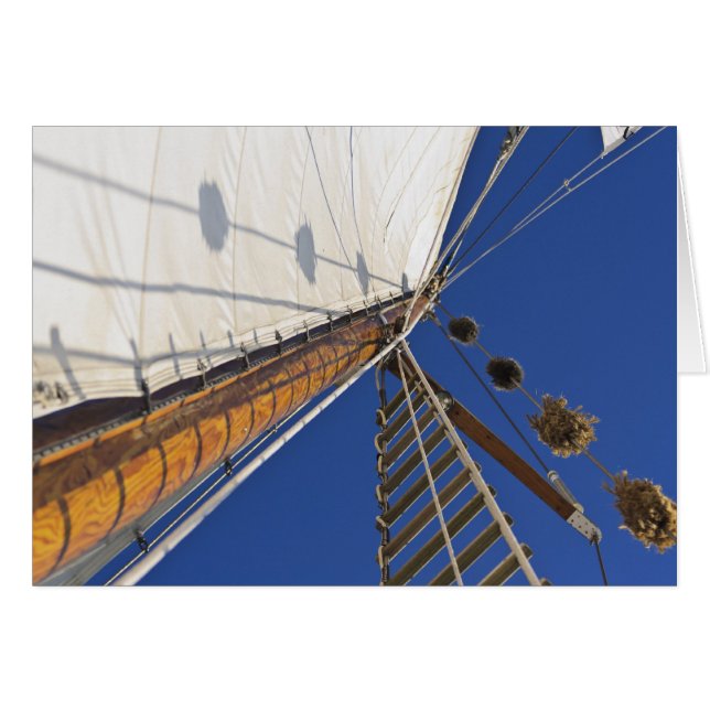 En mängd perspektiv hälsningskort (Framsidan Horizontal)