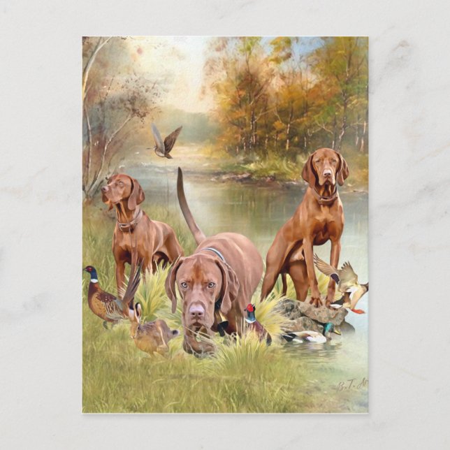 En mångsidig aristokrat i ungerska Vizsla Vykort (Framsida)