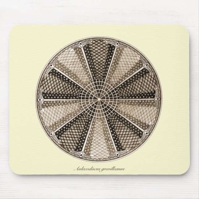 En marin- Diatom Musmatta (Framsidan)