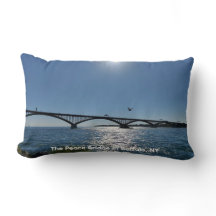 En mås lokala resa