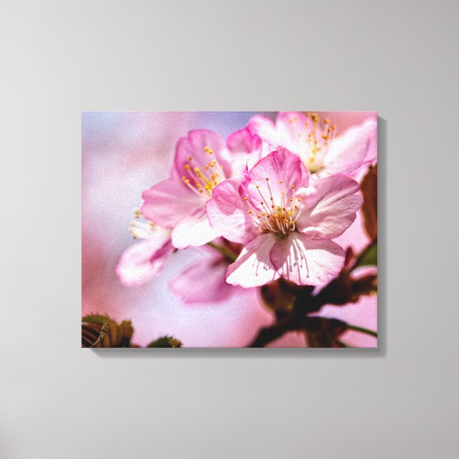 En massa fantastiska Sakura-blommor i rosa färger Canvastryck (Framsida)