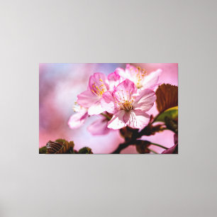 En massa fantastiska Sakura-blommor i rosa färger Canvastryck