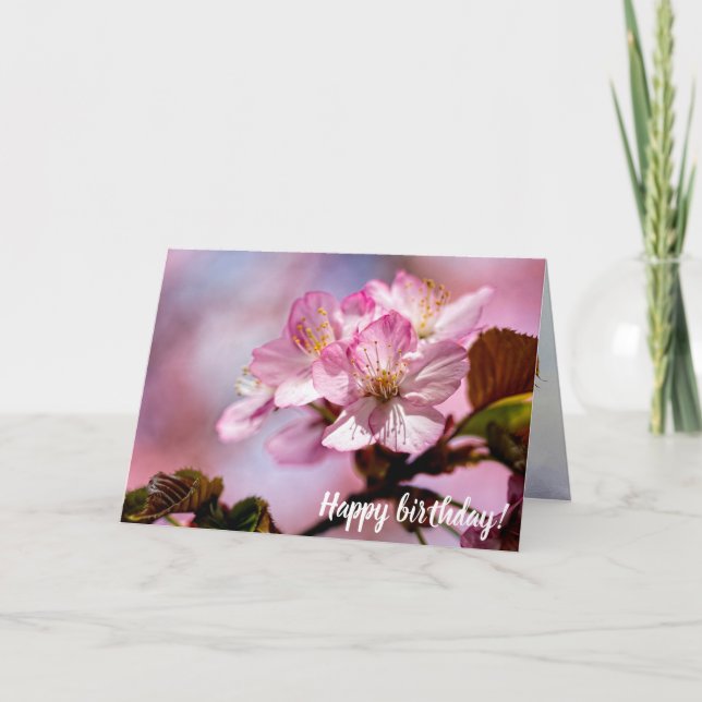 En massa fantastiska Sakura-blommor i rosa färger Kort (Framsida)