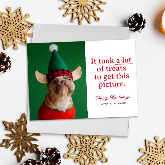 En massa Treats Lycklig Howlidays Funny Pet Julkort ("It took a lot of treats to get this picture" funny holiday pet photo card, red text on white)