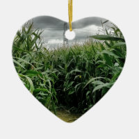 En maze av maize
