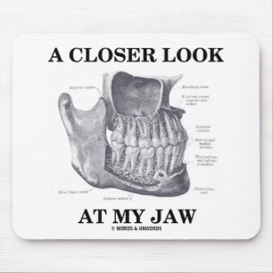 En mer nära Look på min käke (Anatomical ben) Musmatta