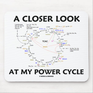 En mer nära Look på mitt driver cyklar (Krebs Musmatta