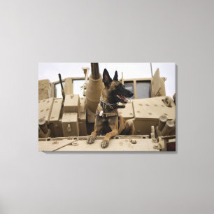 En militär funktionsduglig hund sitter på en M2A Canvastryck