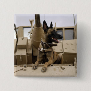 En militär funktionsduglig hund sitter på en M2A Knapp