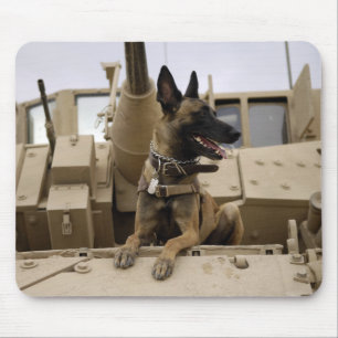 En militär funktionsduglig hund sitter på en M2A Musmatta