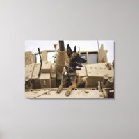 En militär hund sitter på M2A3