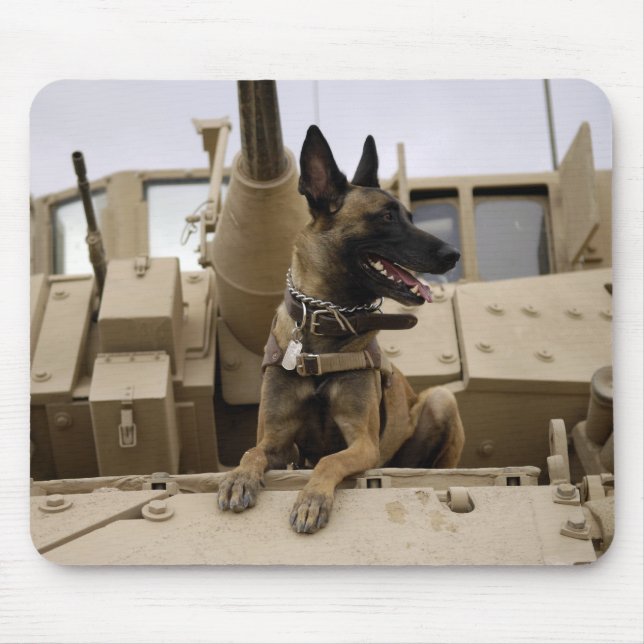En militär hund sitter på M2A3 Musmatta (Framsidan)
