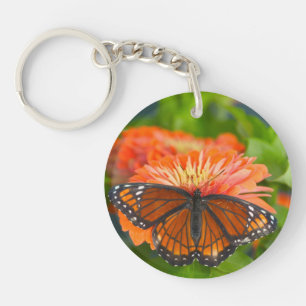 En monarkfjäril på orange zinnior