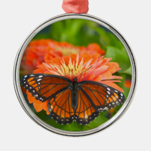 En monarkfjäril på orange zinnior julgransprydnad metall