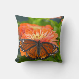 En monarkfjäril på orange zinnior kudde