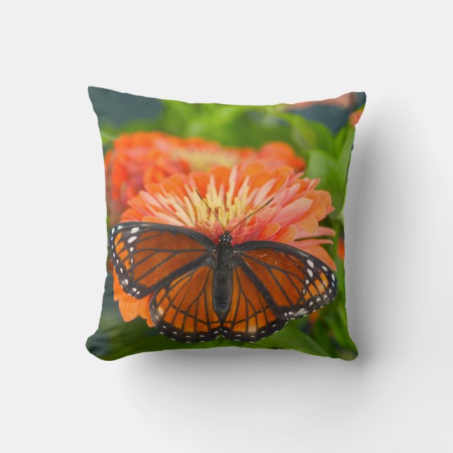 En monarkfjäril på orange zinnior kudde (Framsida)