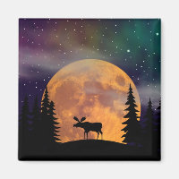 En Moose på Loose