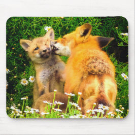 En mors kyss Vilda Natur Art Print Musmatta