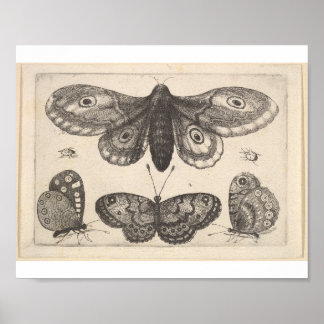 En Moth, Tre Fjärilar och Två Skalbaggar Poster