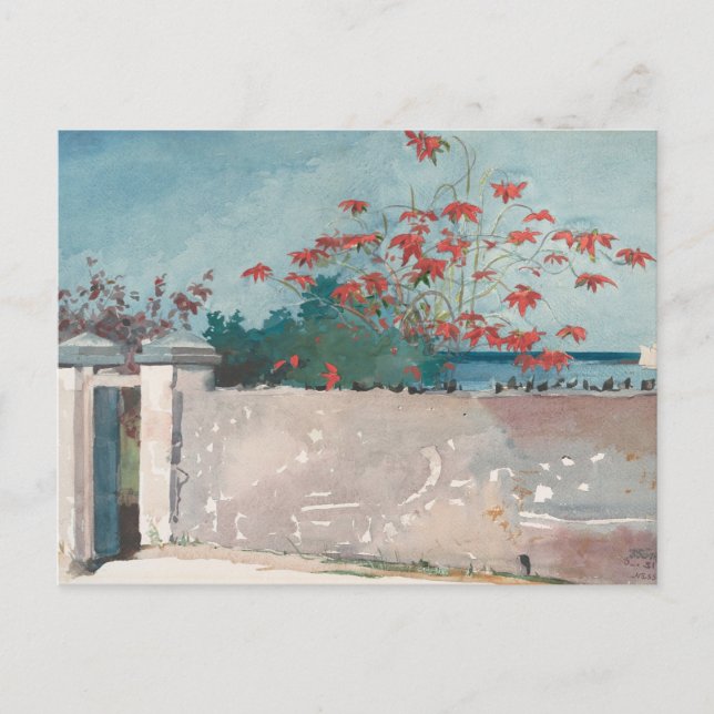 En mur, Nassau av Winslow Homer Vykort (Framsida)