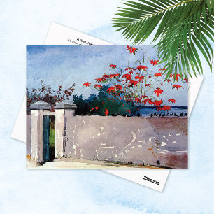 En mur Nassau Winslow Homer Vykort